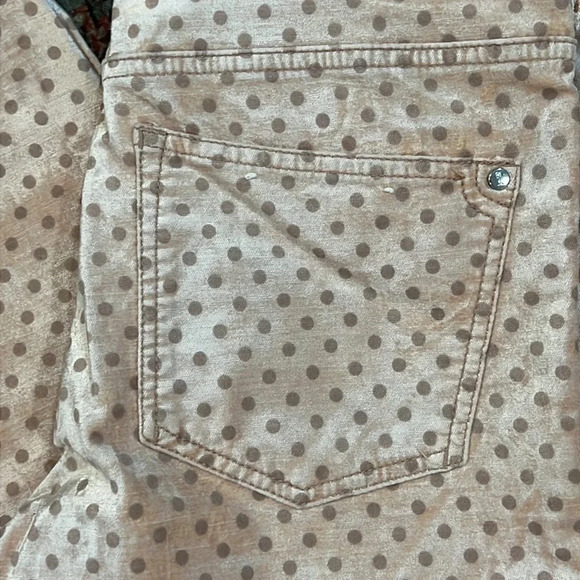 FINAL PRICE Anthropologie Pilcro and the Letterpress Velvet Pants - Picture 6 of 14